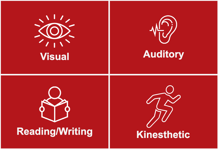 vark learning styles